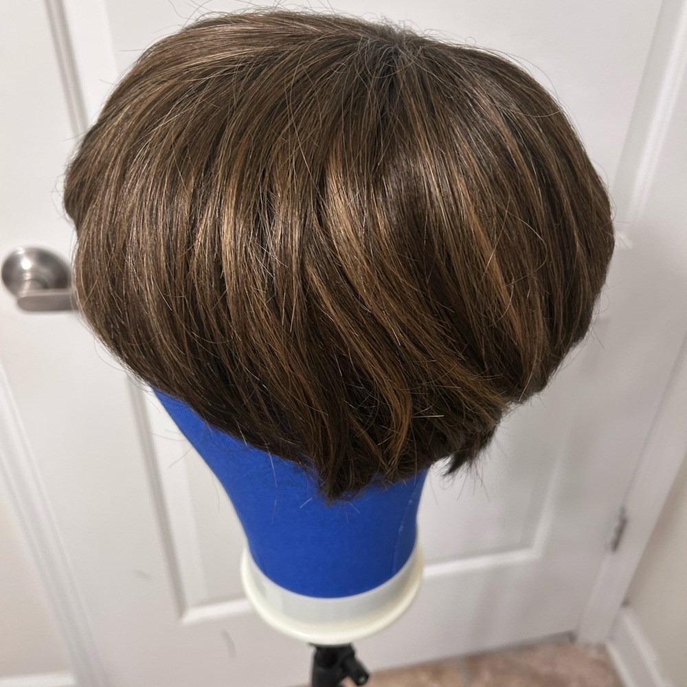 Envy wig JoAnne NWT